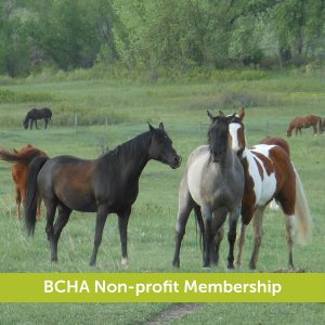 Non-profit (complimentary) membership