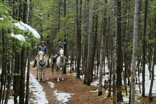 Sourdough-Trail-2