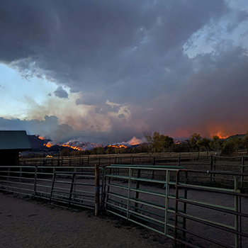 bcha-boulder-fire